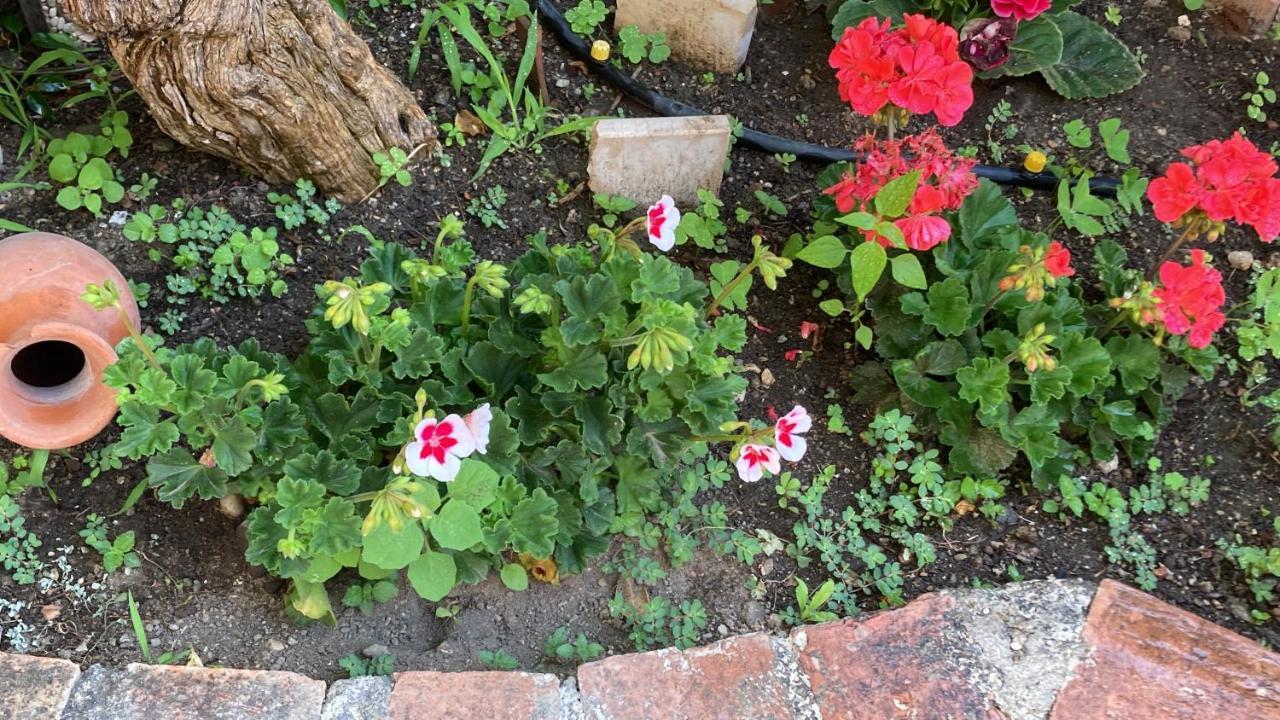 Bed and Breakfast L'Antico Borgo Milazzo Exterior foto